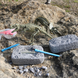 Dinosaur Excavation Set