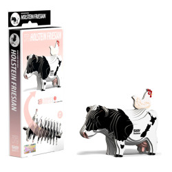 Friesian Cow