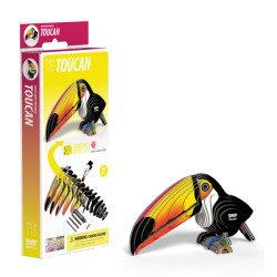 Toucan